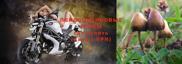метадон Алексин