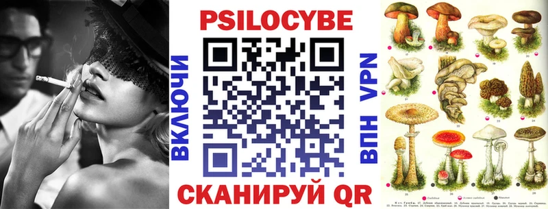 blacksprut зеркало  Дзержинск  Псилоцибиновые грибы прущие грибы 
